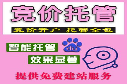 谷歌竞价广告的实时监控与调整策略——某公司经验分享